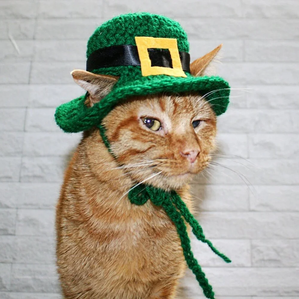 HAND CRAFTED Crochet Hat St. Patrick's Day Derby Cat Irish Costume Photo Prop